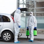 Spring Cleaning Advice to Keep Pests at Bay
