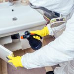 5 Things You Could Be Doing That Attract Termites