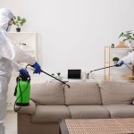 How to Spot Mice or Rats in the Home