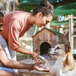 A Closer Look at Animal Adoption&hellip;